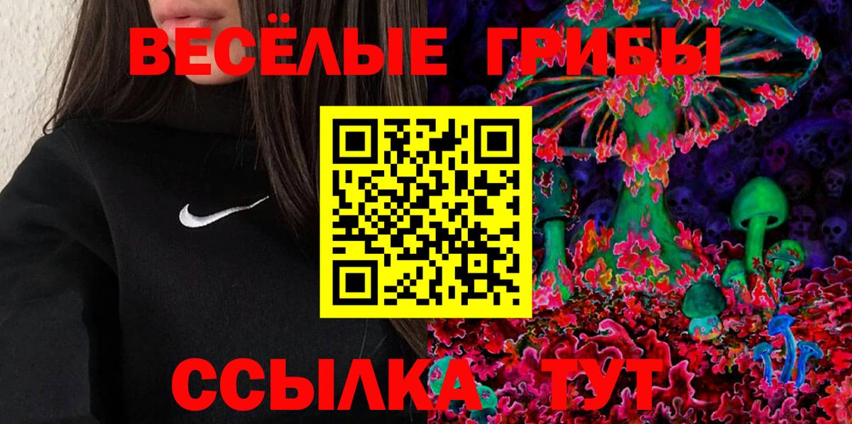 Псилоцибиновые грибы прущие грибы  Вход с VPN  Дедовск  Галлюциногенные грибы GOLDEN TEACHER 